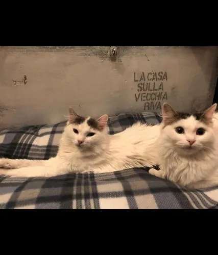 La Casa Sulla Vecchia Riva Daire